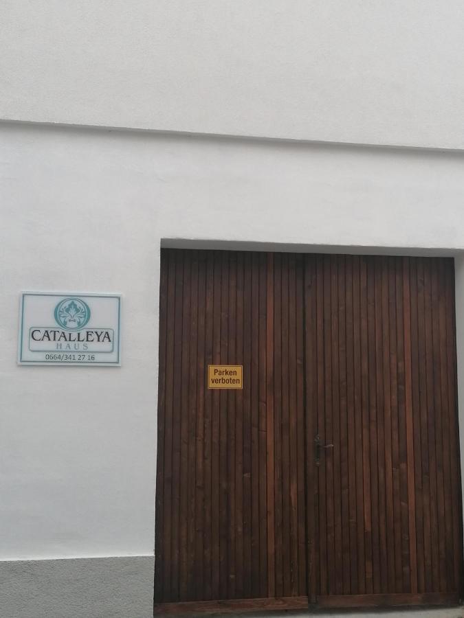 Catalleya Haus Langenlois Zewnętrze zdjęcie