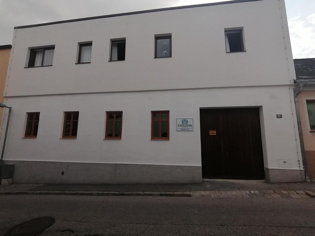 Catalleya Haus Langenlois Zewnętrze zdjęcie